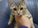 2012033015