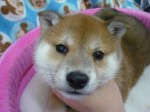 2012040405