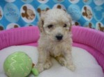 2012040407