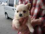 2012041702