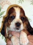 2012041705