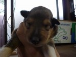 2012051006