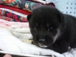 2012051008