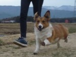 2019031901 2019031901