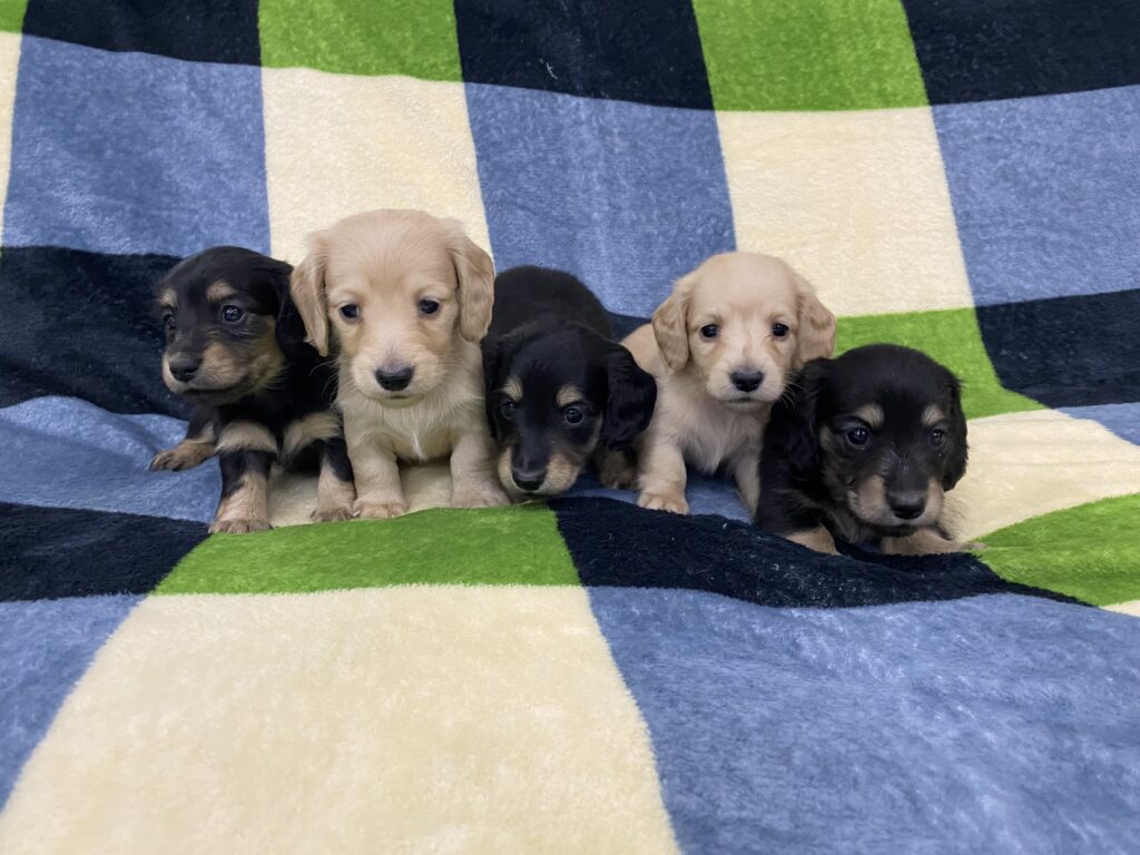 R7年12月31日更新☆