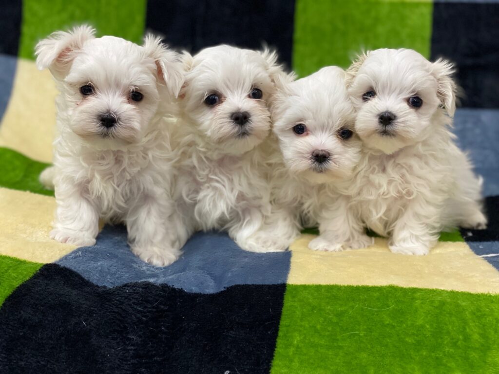 R8年２月25日更新☆