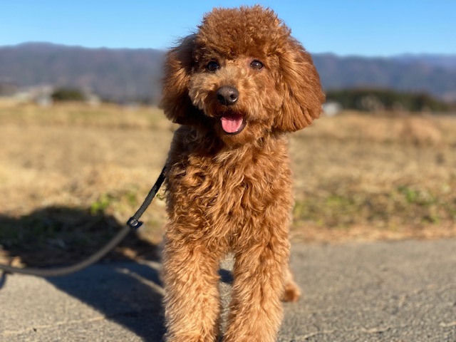 R8年4月2日更新☆