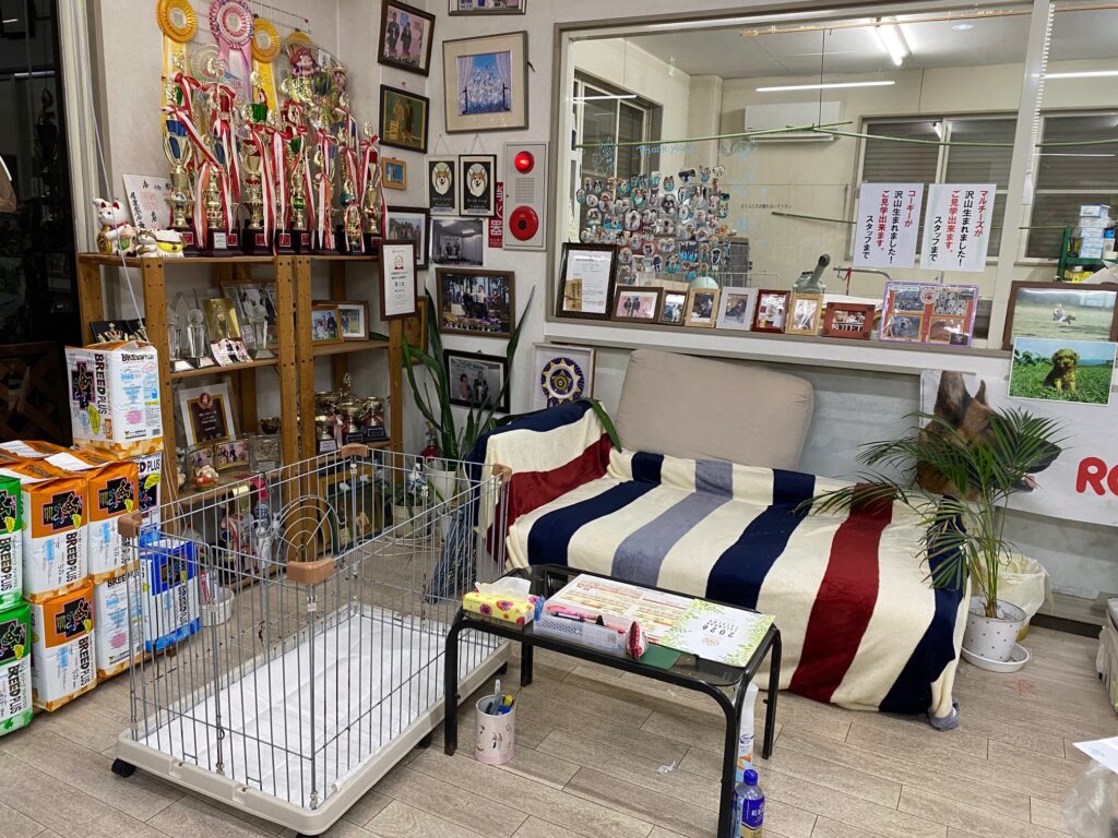 R8年4月11日更新☆