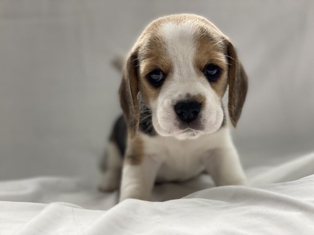 R8年4月28日更新☆