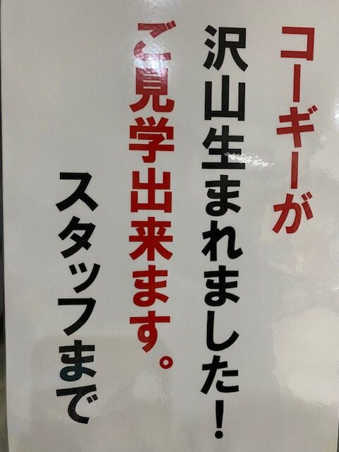 R8年5月11日更新☆
