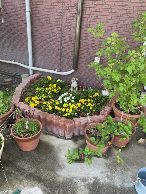 R8年5月19日更新☆