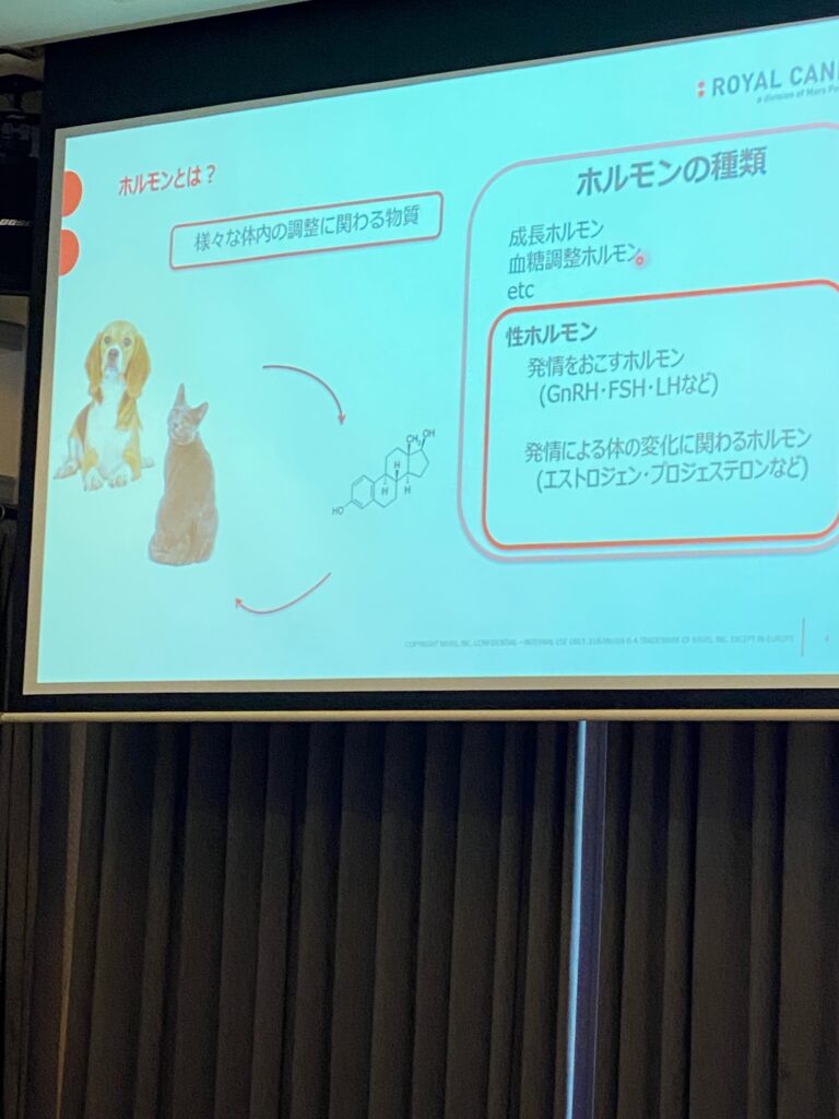 R8年6月23日更新☆