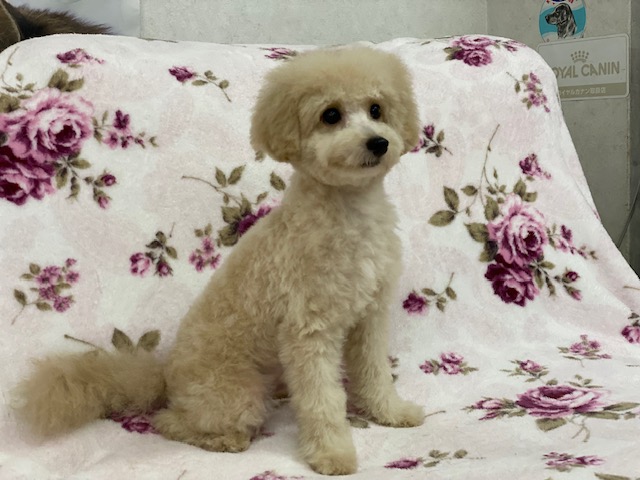 R8年8月8日更新☆