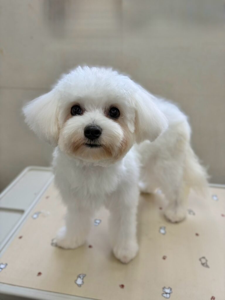 R8年8月22日更新☆