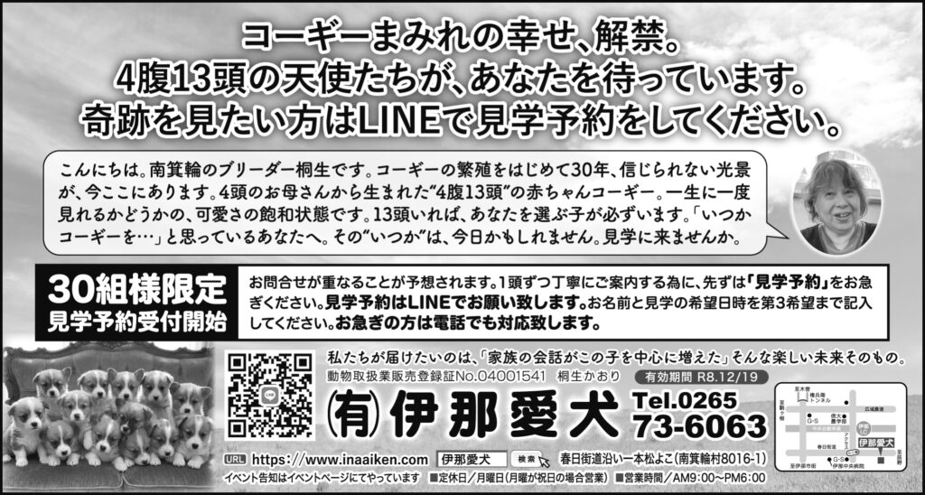 コーギーが沢山生まれています！！R8年4月22日
