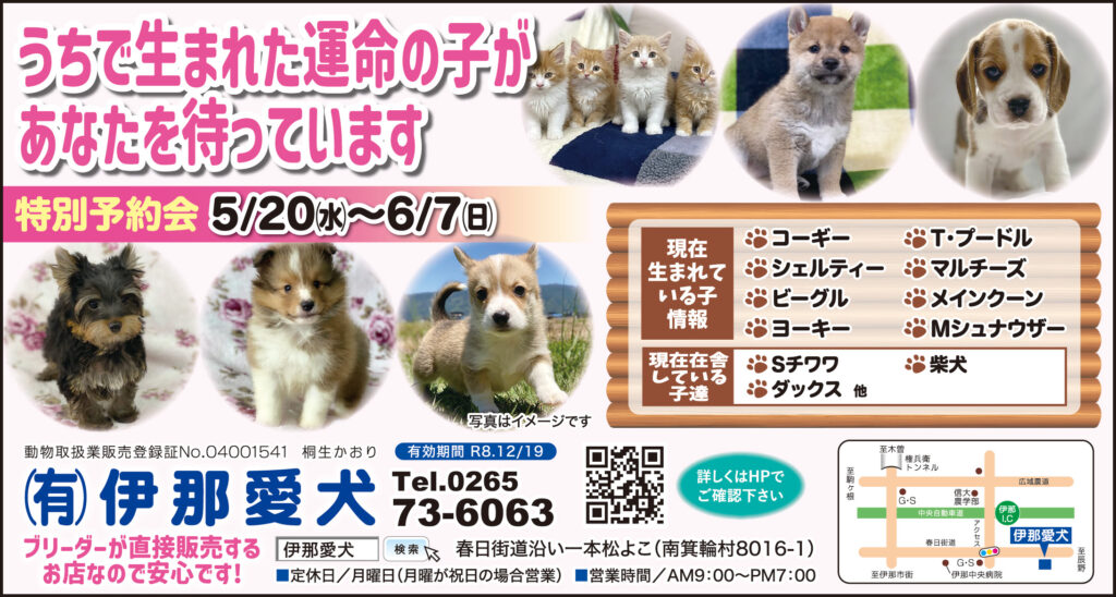 R8年5月19日　特別予約会情報